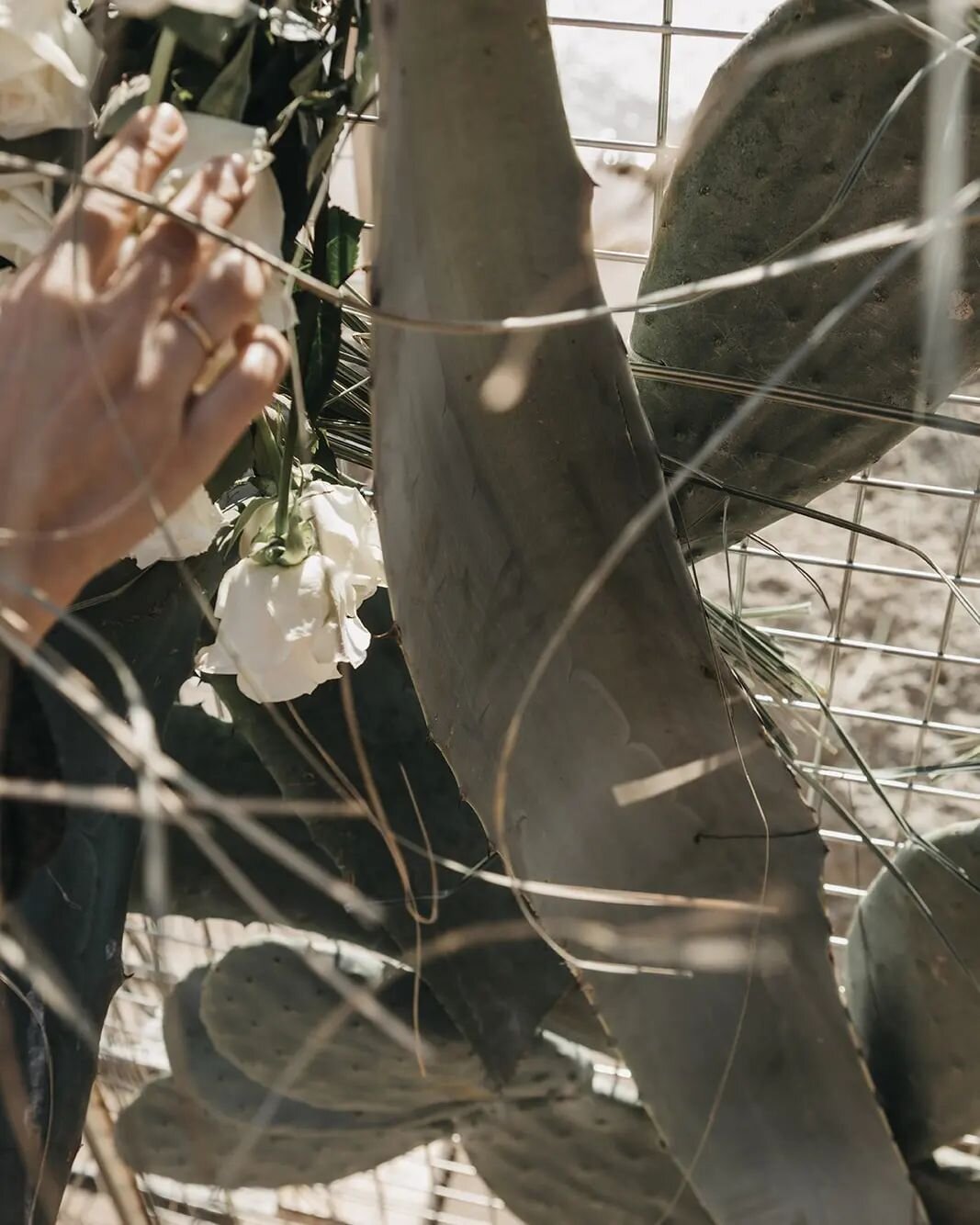 Soulmates Ed.
@thevisualpartners 
@wplidiaruiz 
@ramonherrerias 
@rebecamakeup 
@steel_halo 
@cocoderiquer_bridalstyling
@scoutingmodelagency
@gofloral_
.
#weddingtarragona #weddingbarcelona #floralstyling #floralstylist #flowers #weddingflowers #e